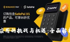 区块链近期应用的挑战与机遇：全面解析与未来