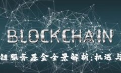 区块链服务基金全景解析：机遇与挑战