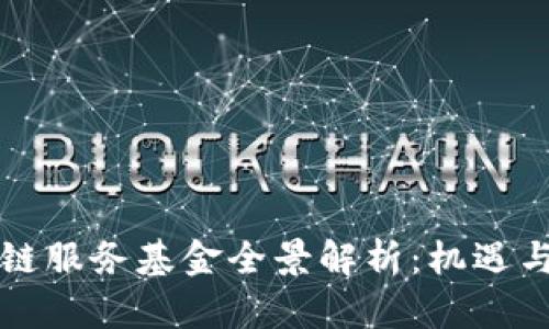 区块链服务基金全景解析：机遇与挑战
