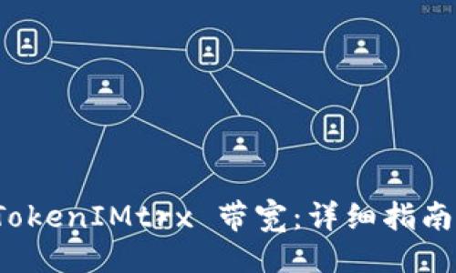 ### 
如何转换 TokenIMtrx 带宽：详细指南与实用技巧
