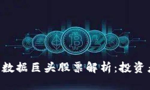 区块链数据巨头股票解析：投资者必看！