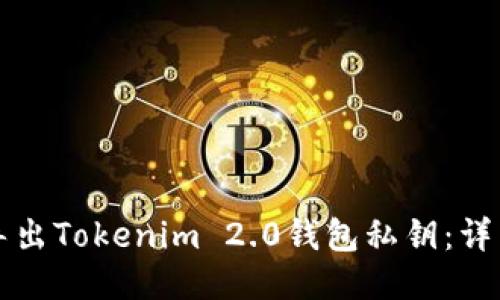 如何导出Tokenim 2.0钱包私钥：详细指南