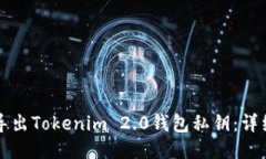 如何导出Tokenim 2.0钱包私钥：详细指南