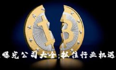 成都区块链曝光公司大全：抓住行业机遇的潜力