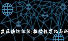 探索东盟区块链组织：推动数字化与科技创新