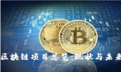 国内区块链项目总览：现状与未来展望