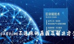 Tokenim不进账的原因及解决方案