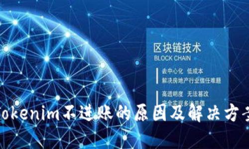 Tokenim不进账的原因及解决方案