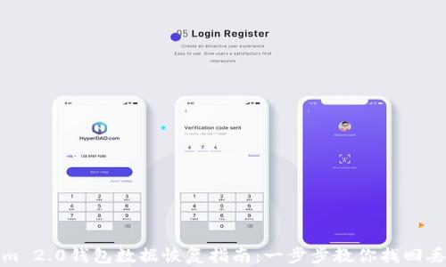 
Tokenim 2.0钱包数据恢复指南：一步步教你找回丢失信息