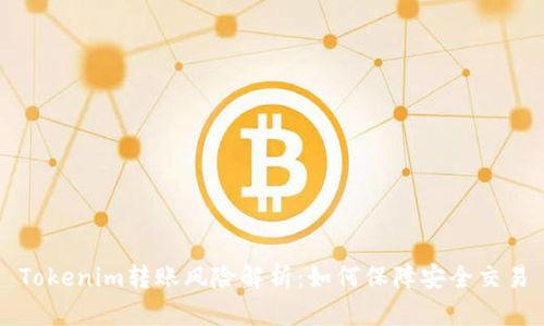Tokenim转账风险解析：如何保障安全交易