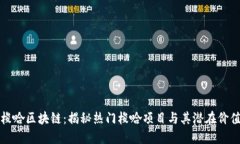 梭哈区块链：揭秘热门梭哈项目与其潜在价值