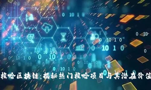 梭哈区块链：揭秘热门梭哈项目与其潜在价值