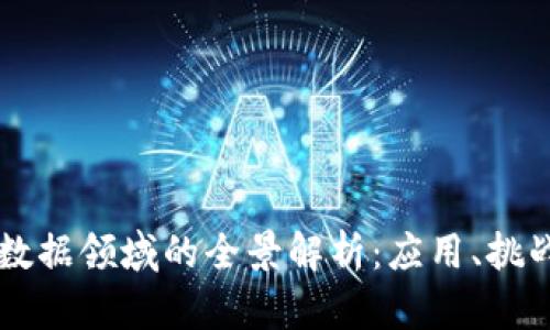 区块链数据领域的全景解析：应用、挑战与未来