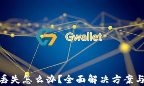 
TokenIM丢失怎么办？全面解决方案与案例解析