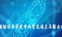 区块链项目开发中的常见难点与解决方案