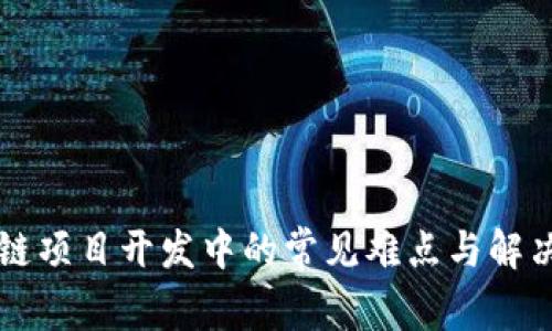 区块链项目开发中的常见难点与解决方案