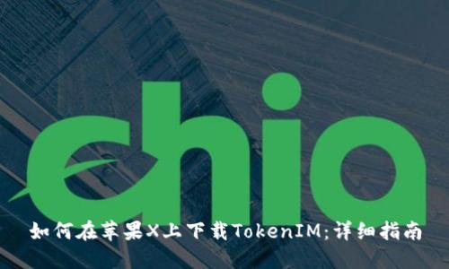 如何在苹果X上下载TokenIM：详细指南