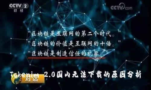 Tokenim 2.0国内无法下载的原因分析