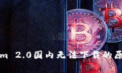 Tokenim 2.0国内无法下载的原因分析