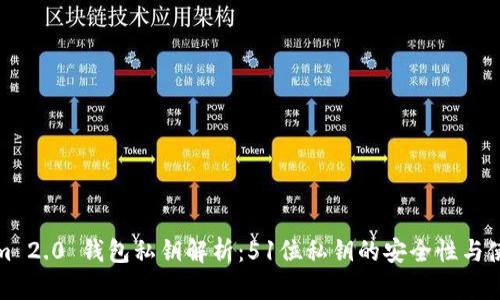 Tokenim 2.0 钱包私钥解析:51位私钥的安全性与使用指南