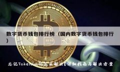 忘记Tokenim码怎么解决？详细指南与解决方案