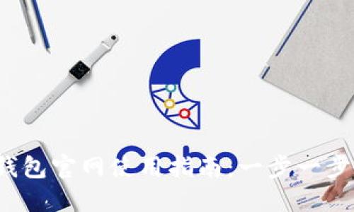 ### Tokenim 2.0 钱包官网使用指南：一步一步教你安全管理数字资产