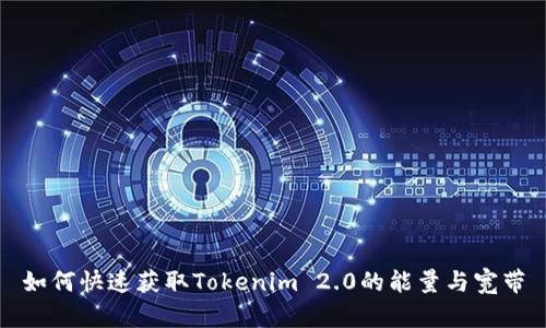 如何快速获取Tokenim 2.0的能量与宽带