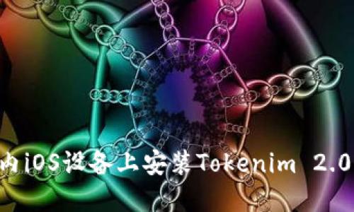 如何在国内iOS设备上安装Tokenim 2.0：详细指南