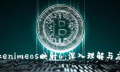 Tokenimeos映射6：深入理解与应用