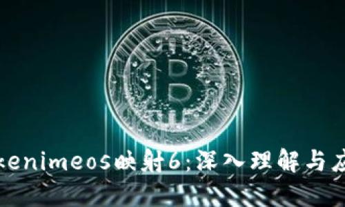 Tokenimeos映射6：深入理解与应用